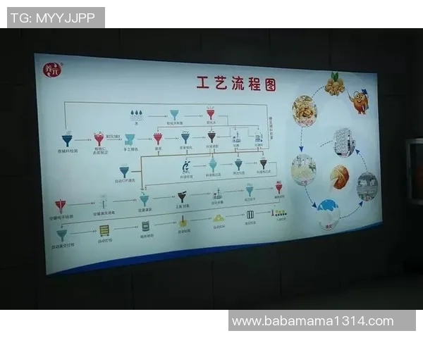 足球制作的全流程揭秘从原材料到成品的每一步详解